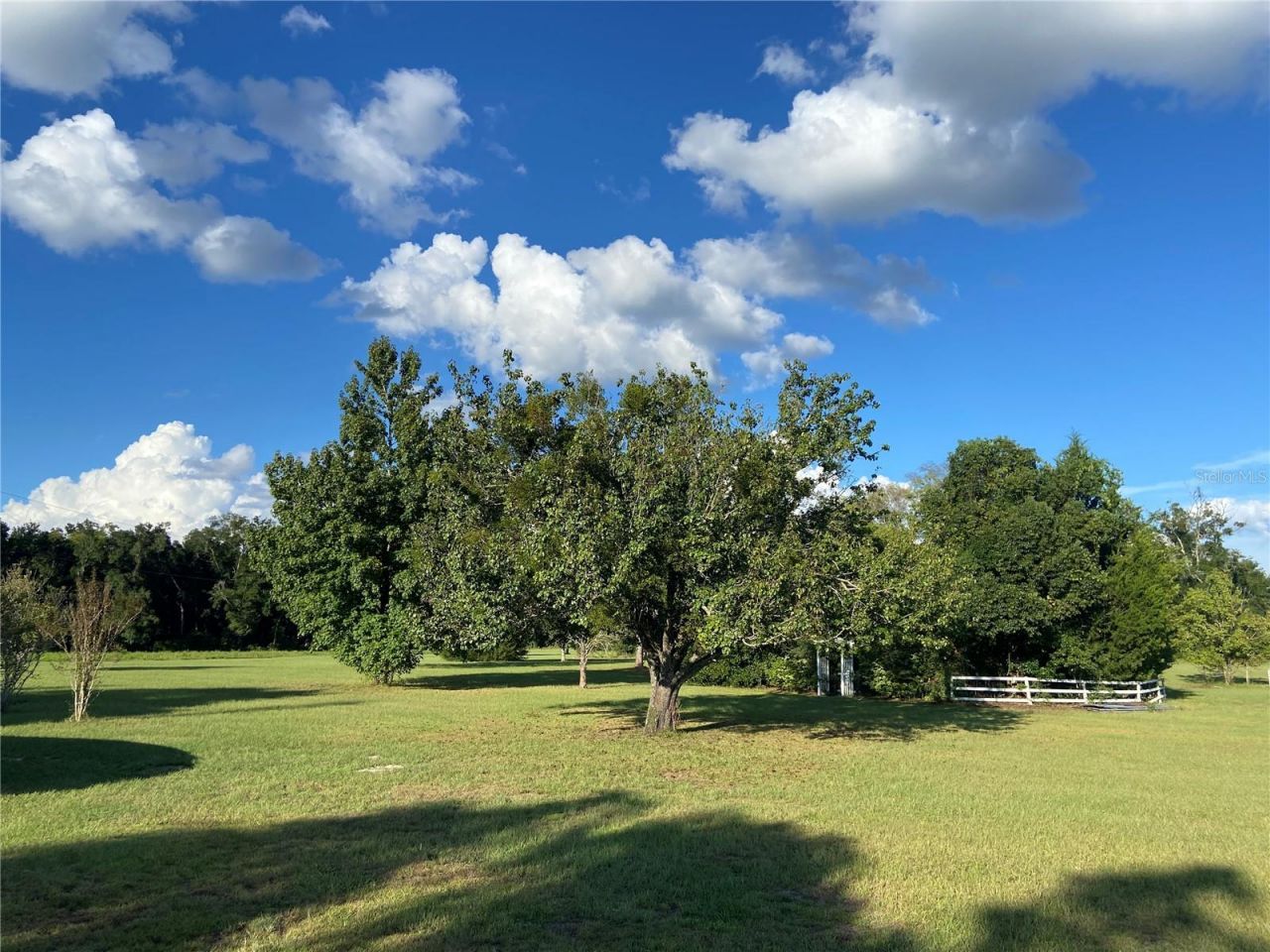 5559 SW 42nd Place, Bell, FL 32619 Photo