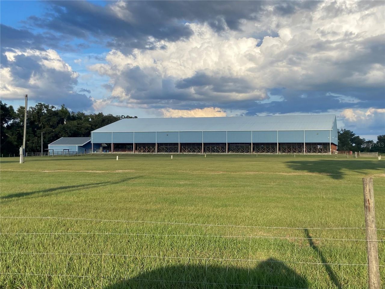 5559 SW 42nd Place, Bell, FL 32619 Photo