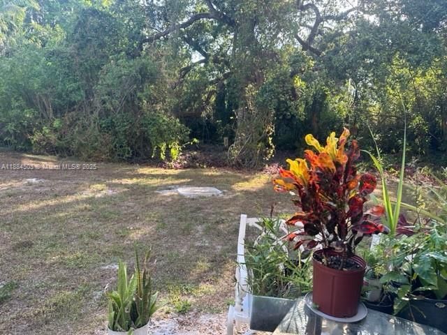 9450 Live Oak Pl, Unit 108, Davie, FL 33324 Photo