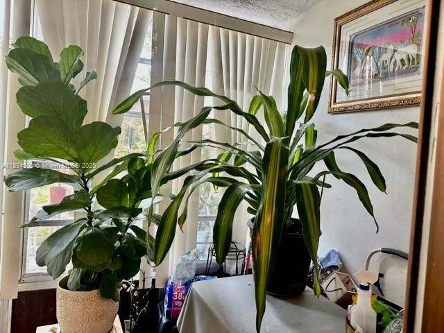 9450 Live Oak Pl, Unit 108, Davie, FL 33324 Photo