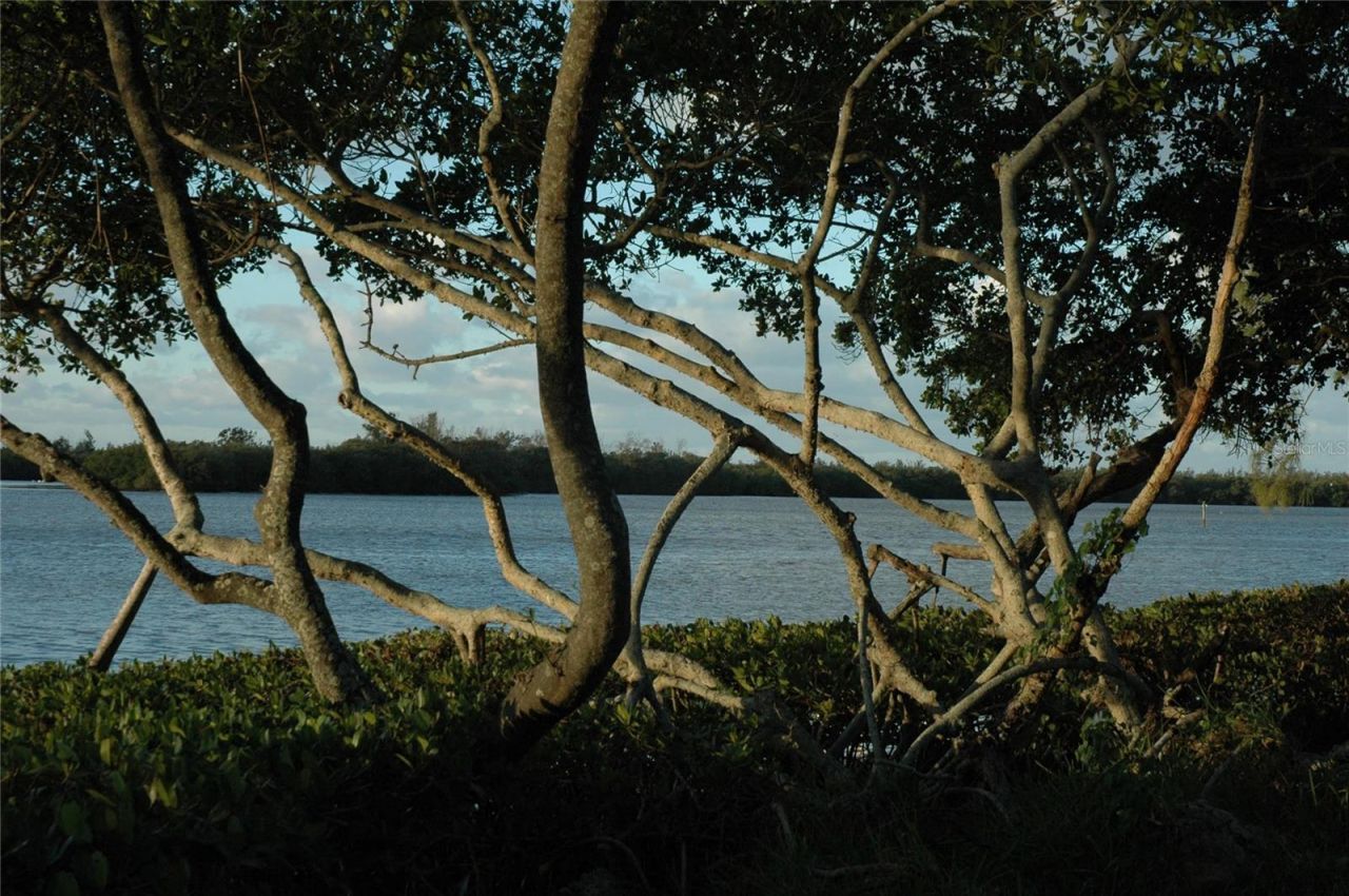 4765 Independence Drive, Bradenton, FL 34210 Photo