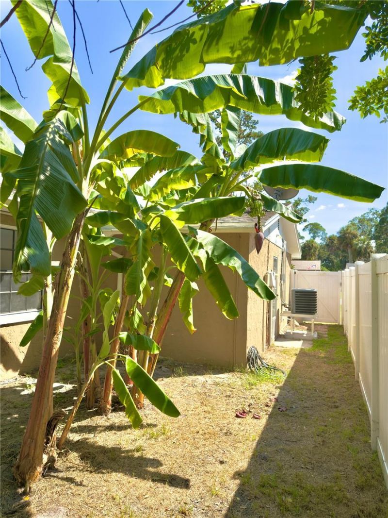 5701 Quist Drive, Port Richey, FL 34668 Photo