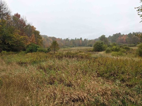 461 Wilmouth Hill Road, Shrewsbury, VT 05738