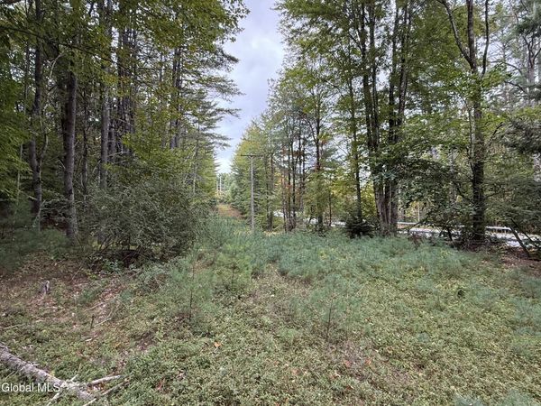 L33 Sawmill Road, Bolton, NY 12814