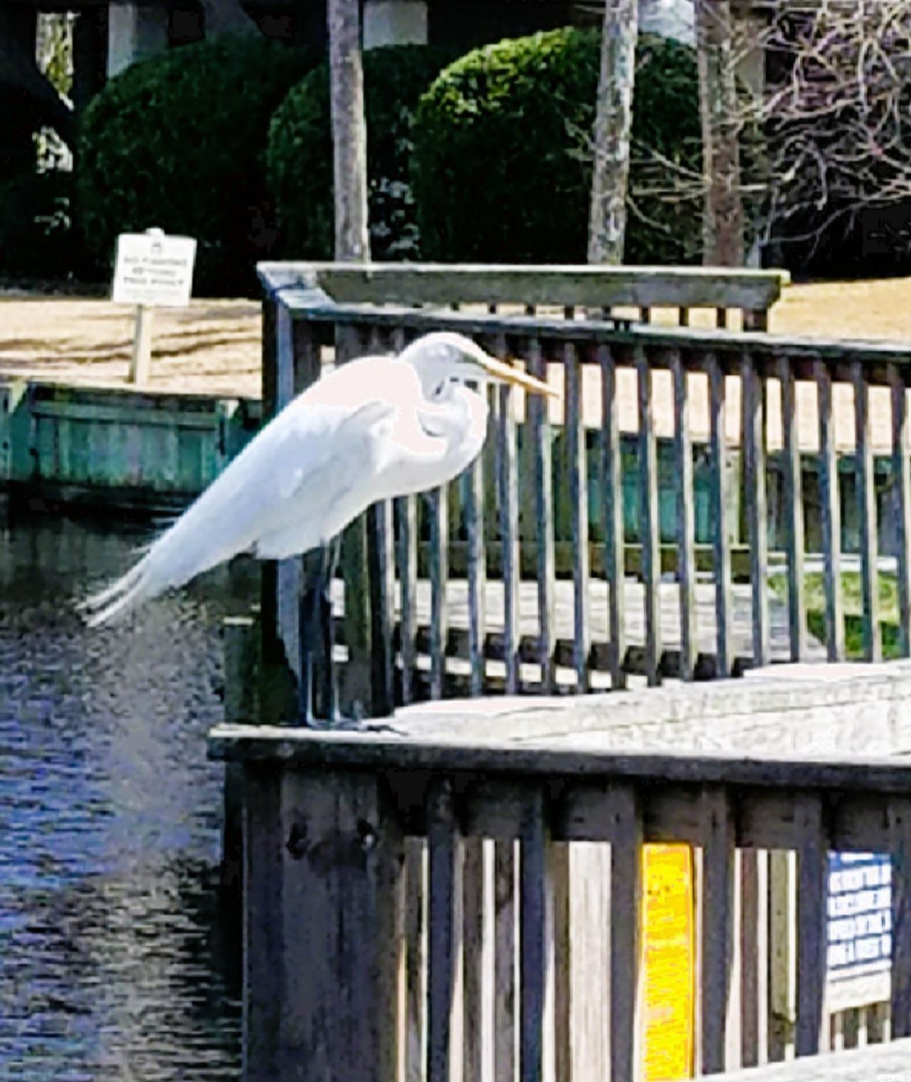 601 Retreat Beach Circle Photo 39