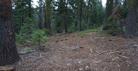 1026 Cleghorn Drive, Bucks Lake, CA 95956 Photo