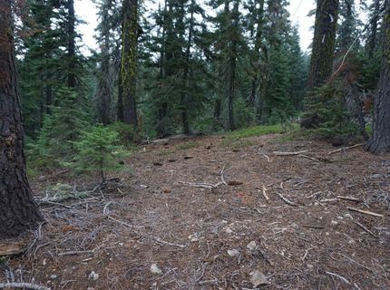 1026 Cleghorn Drive, Bucks Lake, CA 95956 Photo