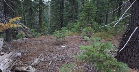 1026 Cleghorn Drive, Bucks Lake, CA 95956 Photo