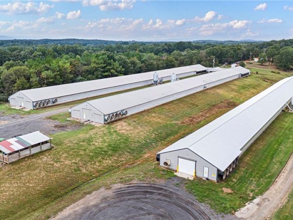 11695 E Old Belleville Road, Belleville, AR 72824