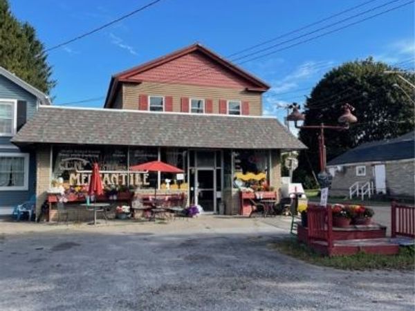 7849 Main Street, Fabius, NY 13063