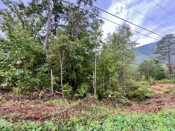 1727 Bluff Ridge Road, Sevierville, TN 37876