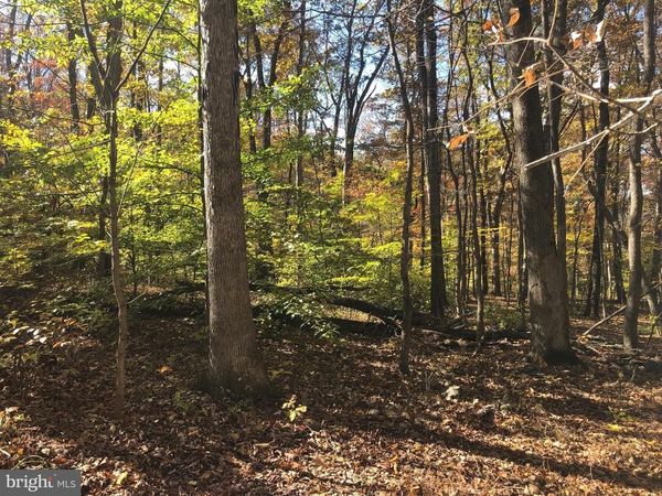 CLIFF LANE, BLUEMONT, VA 20135