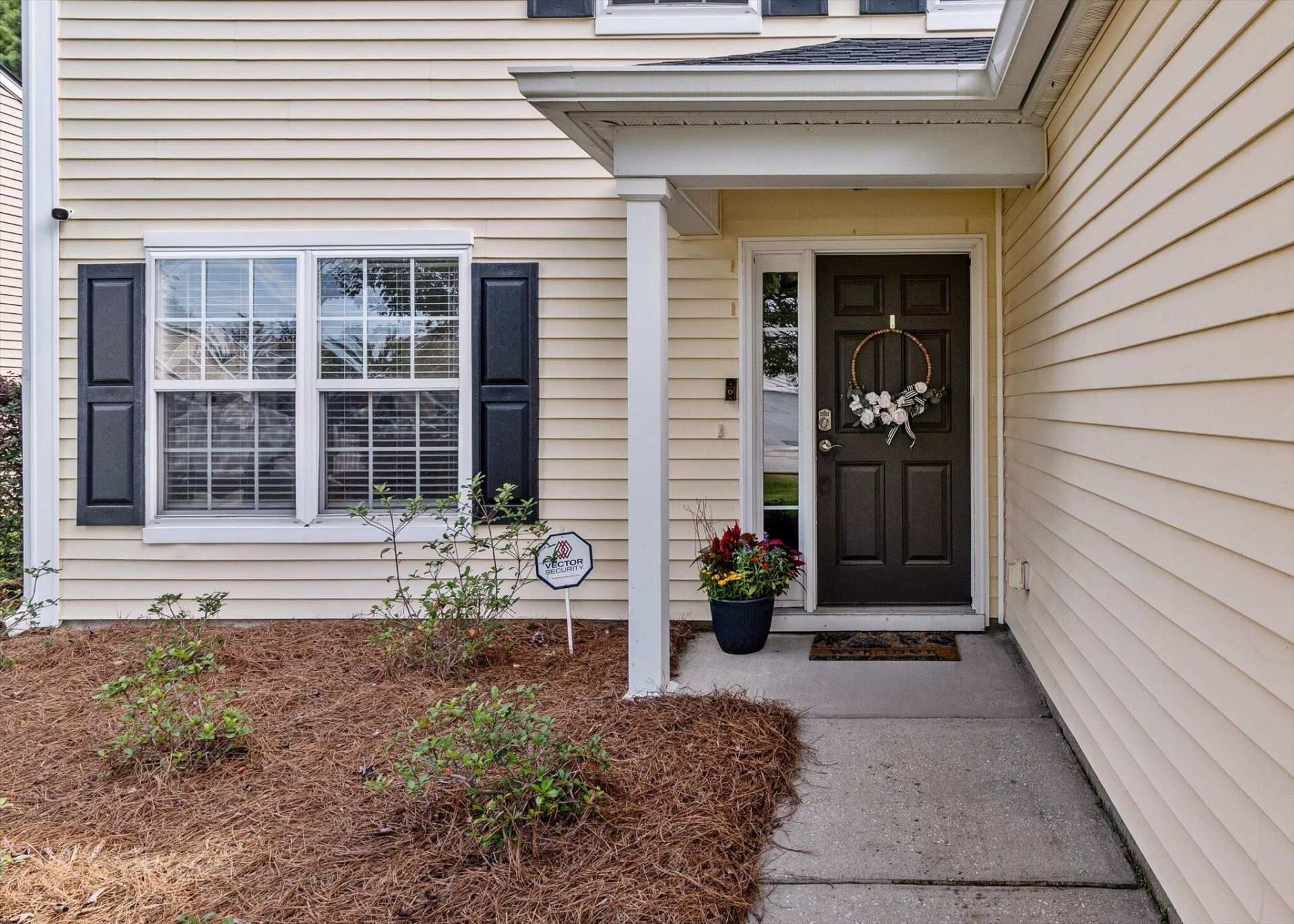 1344 Palm Cove Drive Photo 4