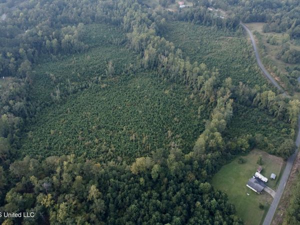 Blizzard Road, Meridian, MS 39305