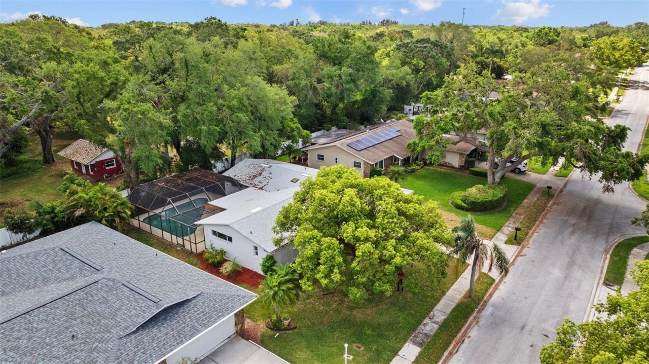 1905 Oro Court, Clearwater, FL 33764 Photo