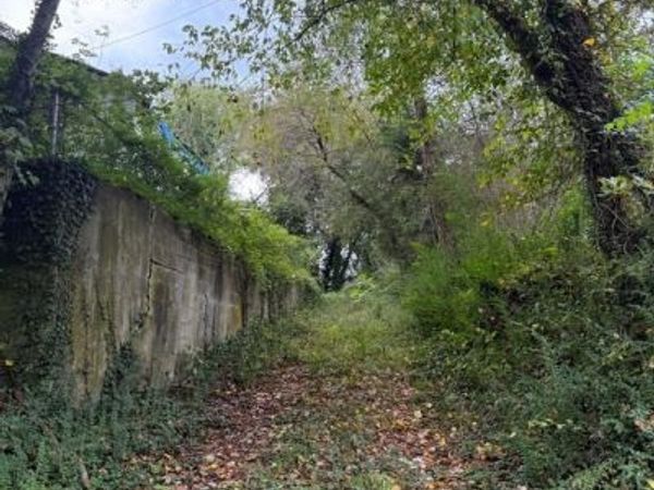 160 CHASE STREET, BOWLING GREEN, VA 22427