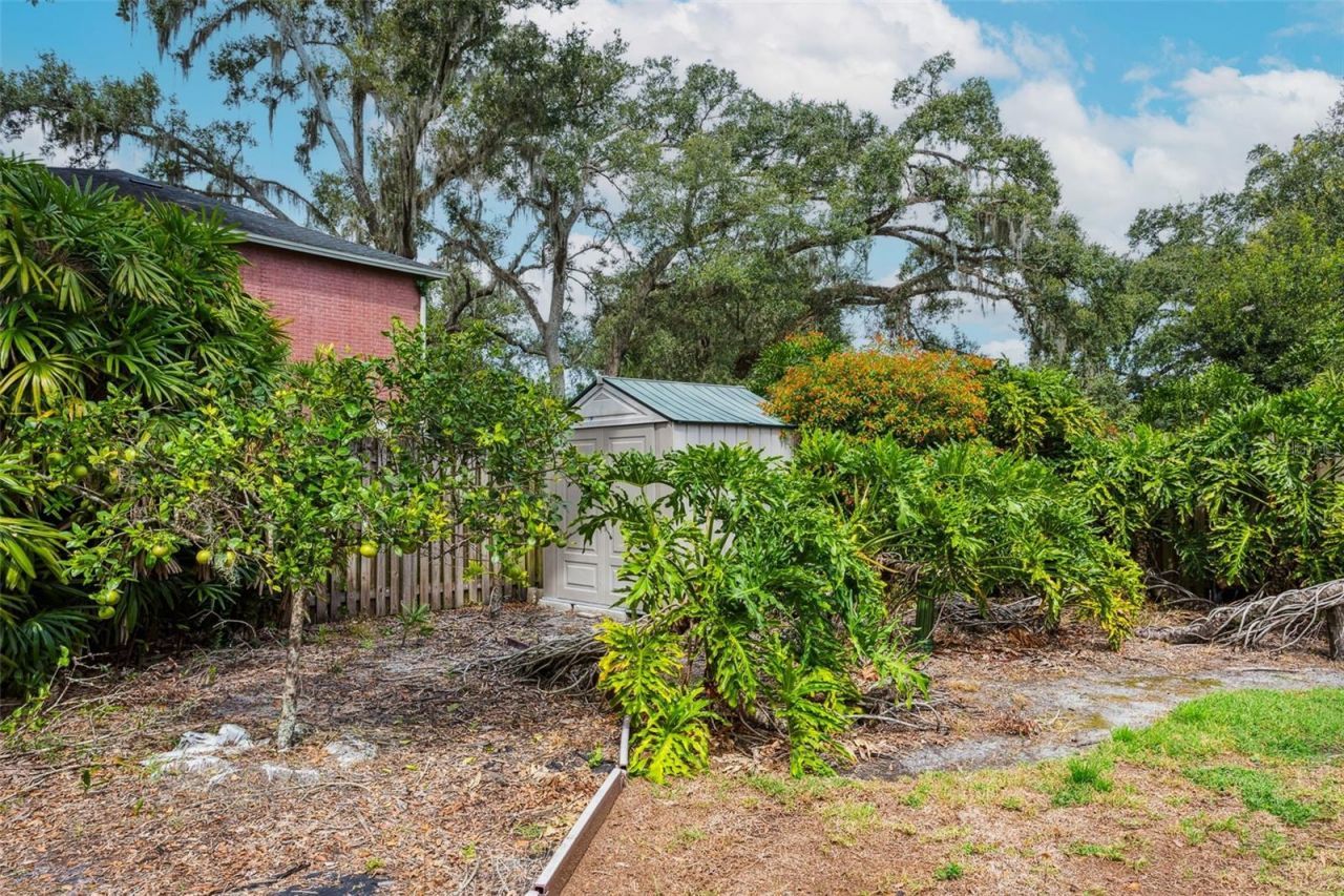 413 Montrose Avenue, Temple Terrace, FL 33617 Photo