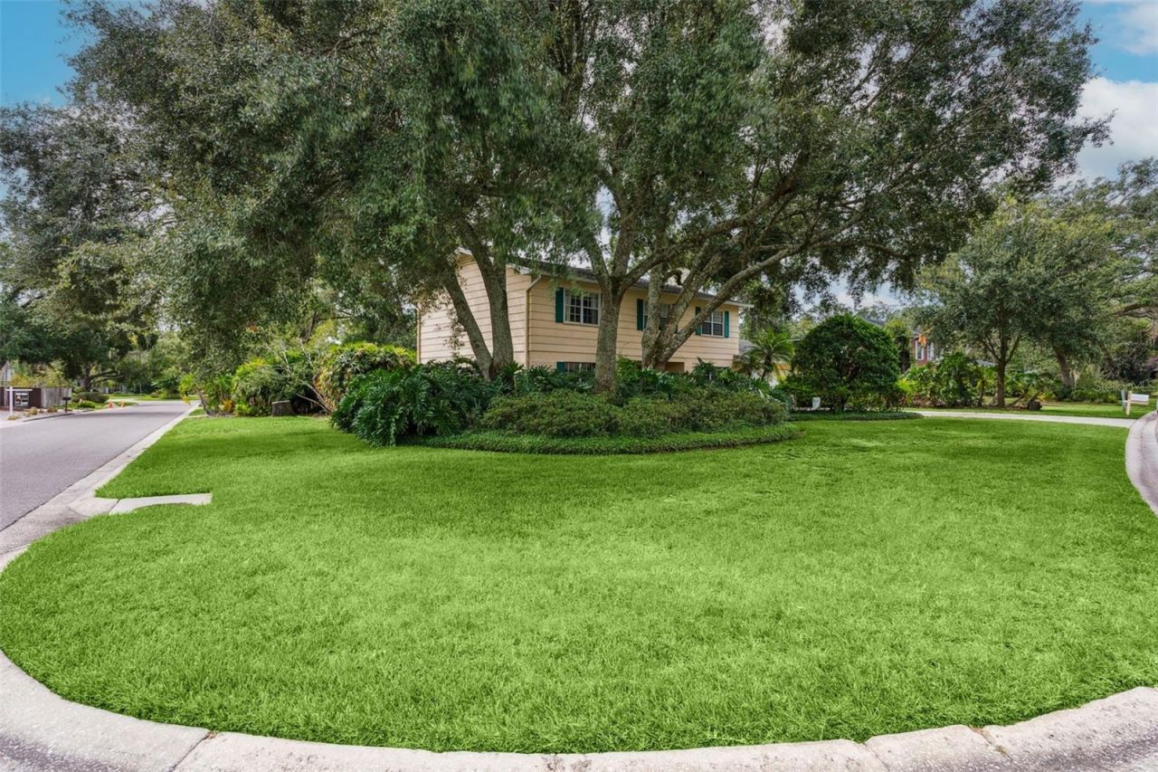 413 Montrose Avenue, Temple Terrace, FL 33617 Photo