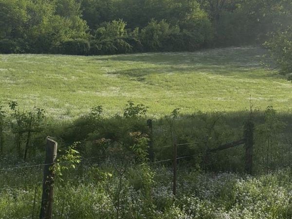 0 Little Salt Lick Road, Carthage, TN 37030