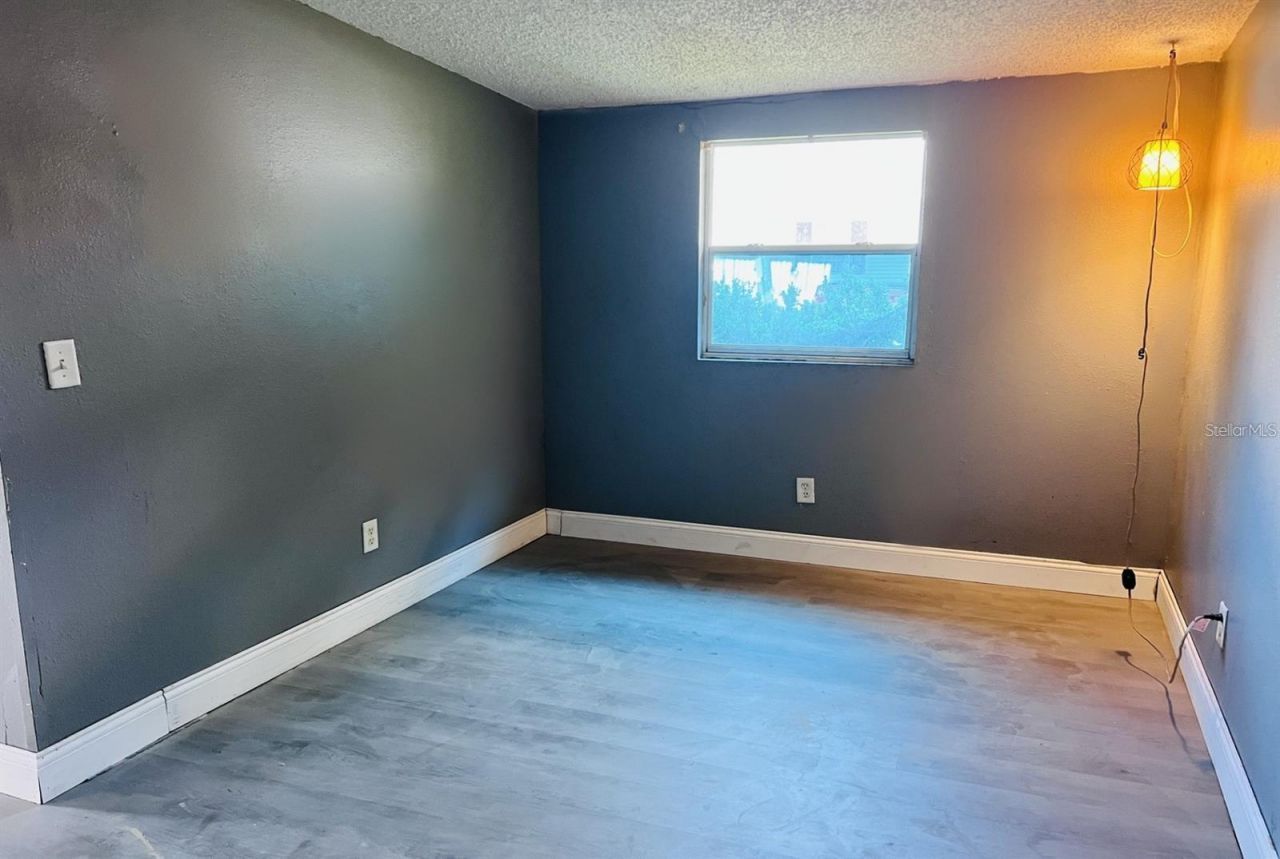 6810 Pearson Lane, Wesley Chapel, FL 33544 Photo