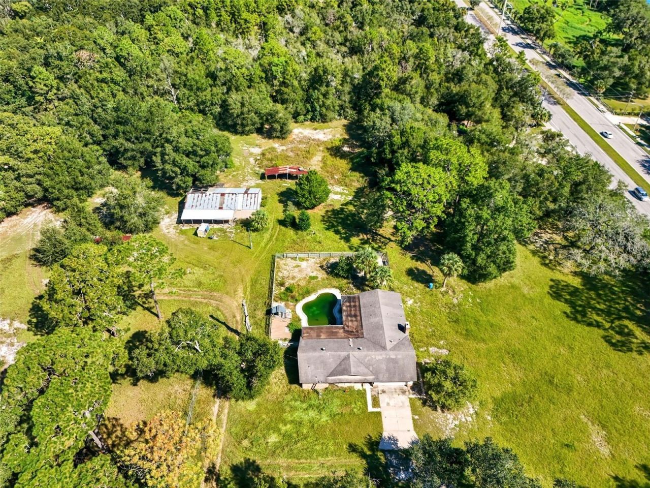 51 E Ponkan Road, Apopka, FL 32712 Photo