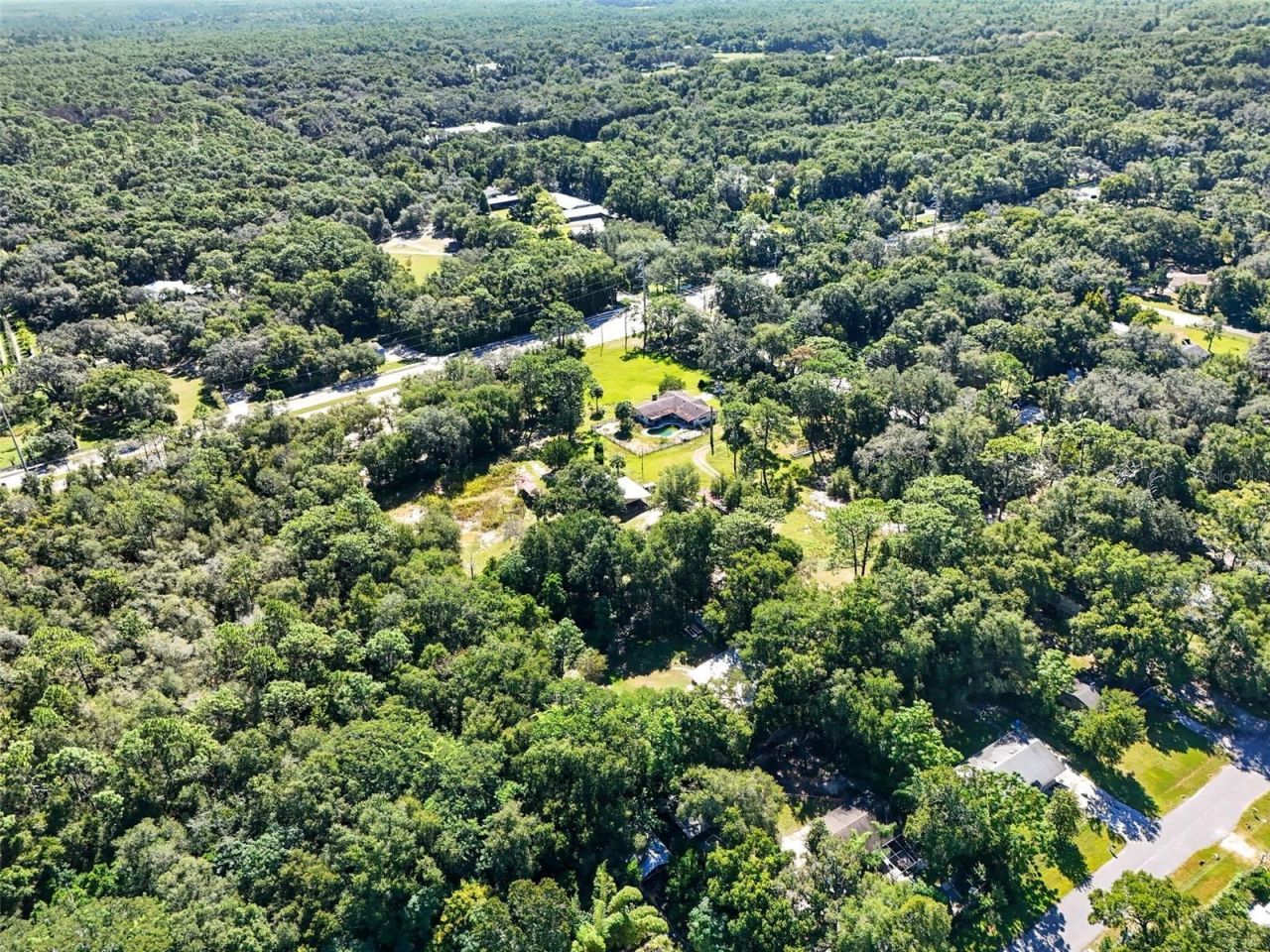 51 E Ponkan Road, Apopka, FL 32712 Photo