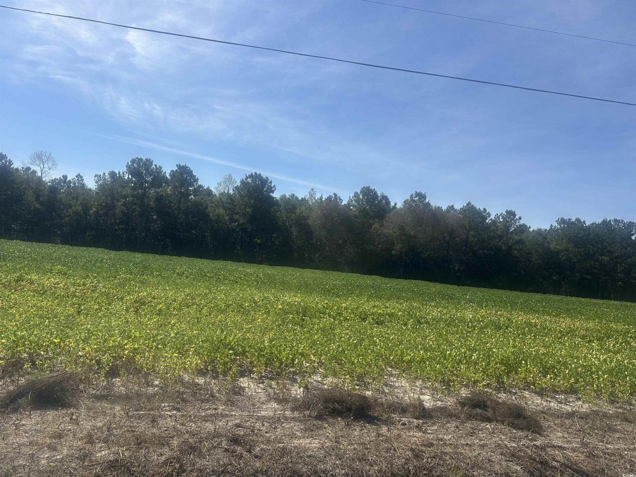 Tbd Tansy Rd. Photo 4