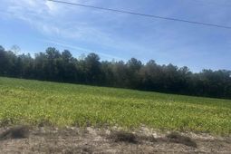 Tbd Tansy Rd. photo 4