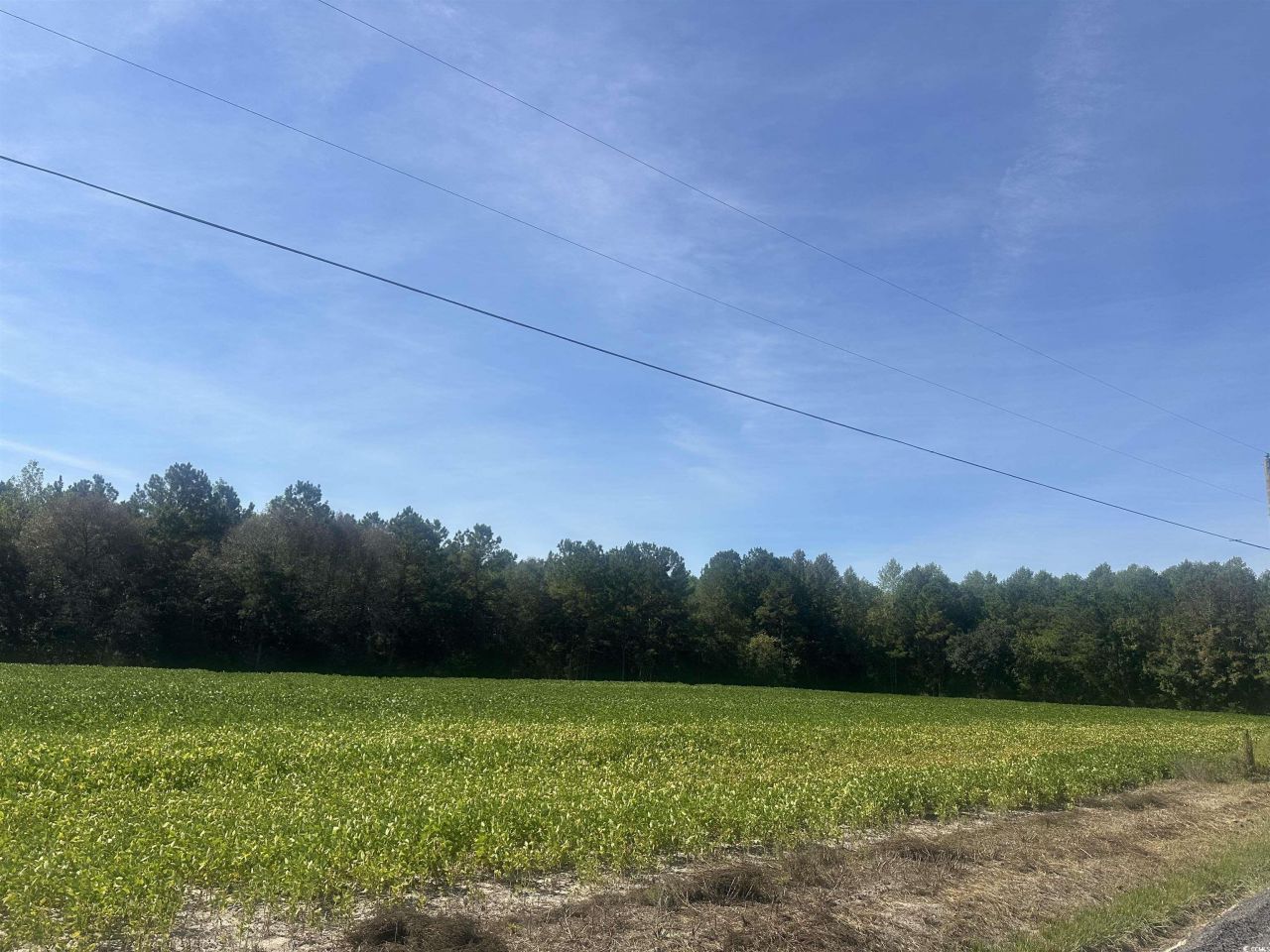 Tbd Tansy Rd. Photo 5