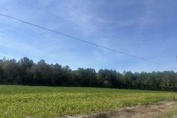 Tbd Tansy Rd. photo 4