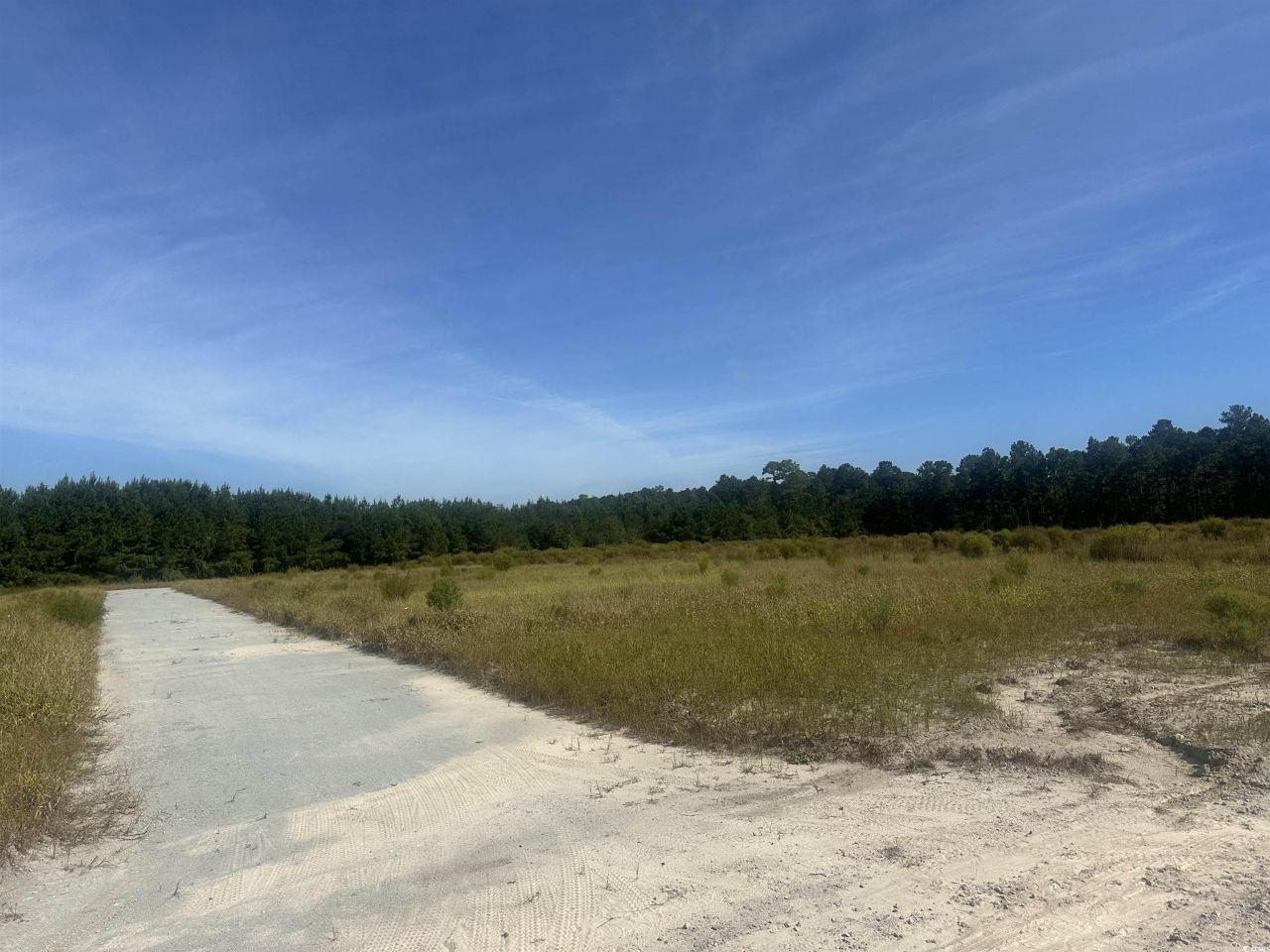 Tbd Tansy Rd. Photo 6