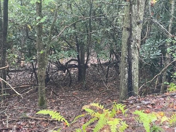 00 McDonald Court, Pisgah Forest, NC 28768