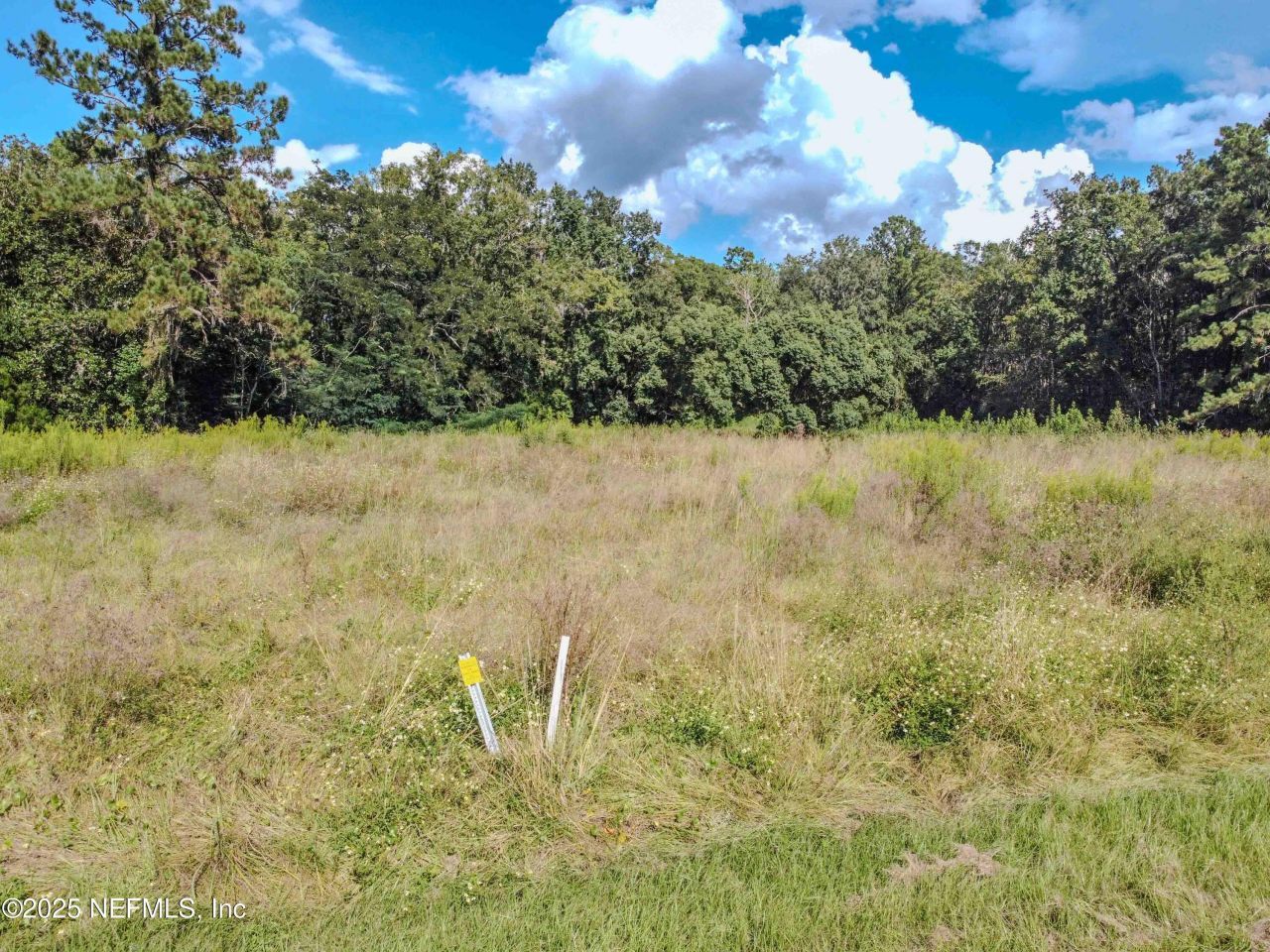 3305 Us Highway 17, Green Cove Springs, FL 32043 Photo