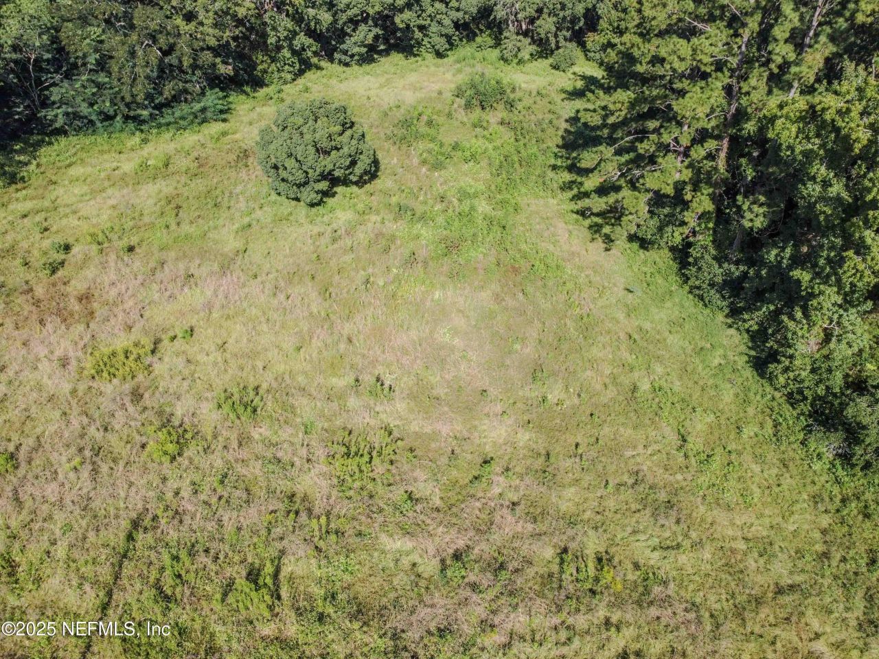 3305 Us Highway 17, Green Cove Springs, FL 32043 Photo