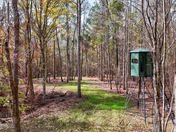 8145 Gordon Station Road, Port Gibson, MS 39150