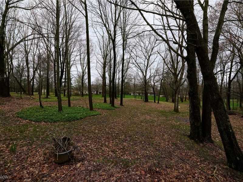 7100 Chestnut Drive, Walton Hills, OH 44146 Photo 38