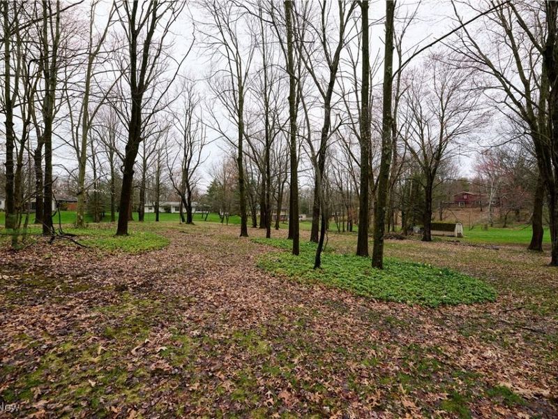 7100 Chestnut Drive, Walton Hills, OH 44146 Photo 39