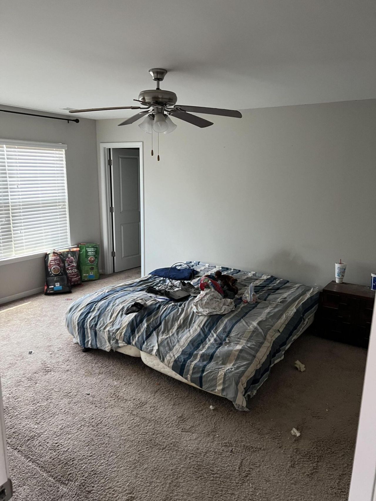 912 Dovefield Lane Photo 4