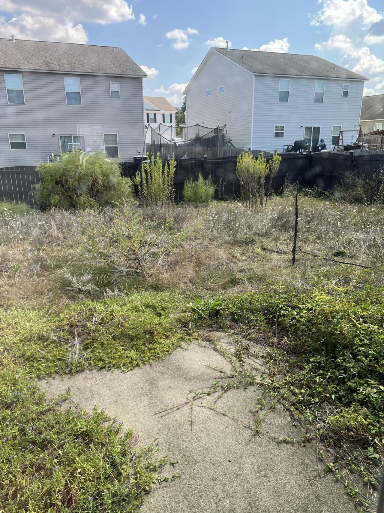 912 Dovefield Lane Photo 6