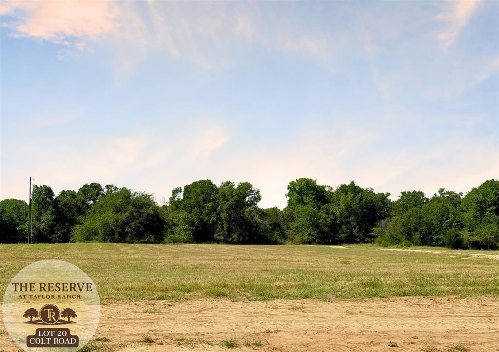 Lot 20 Colt. Road, Springtown, TX 76082 Main Photo