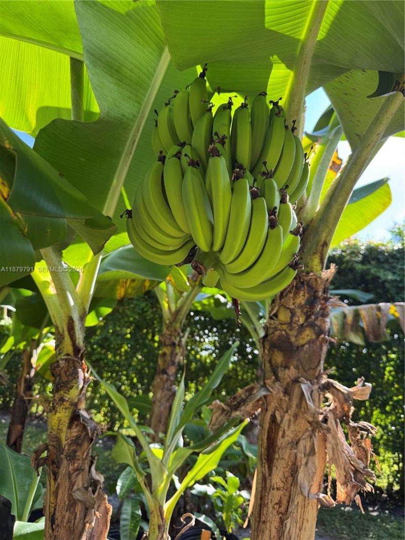 3445 NW 87th Ave, Cooper City, FL 33024 Photo