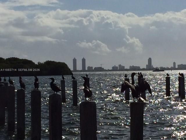 Please Call For Address, Unit A215, Miami, FL 33138 Photo