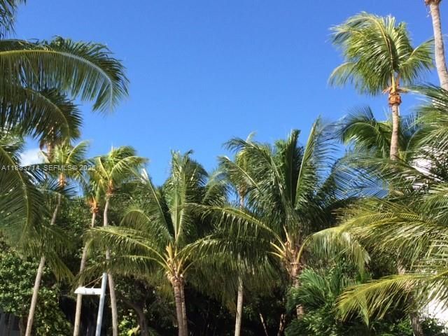 Please Call For Address, Unit A215, Miami, FL 33138 Photo