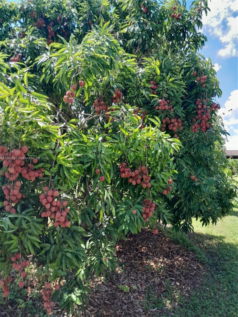 22220 SW 248th St, Homestead, FL 33031 Photo