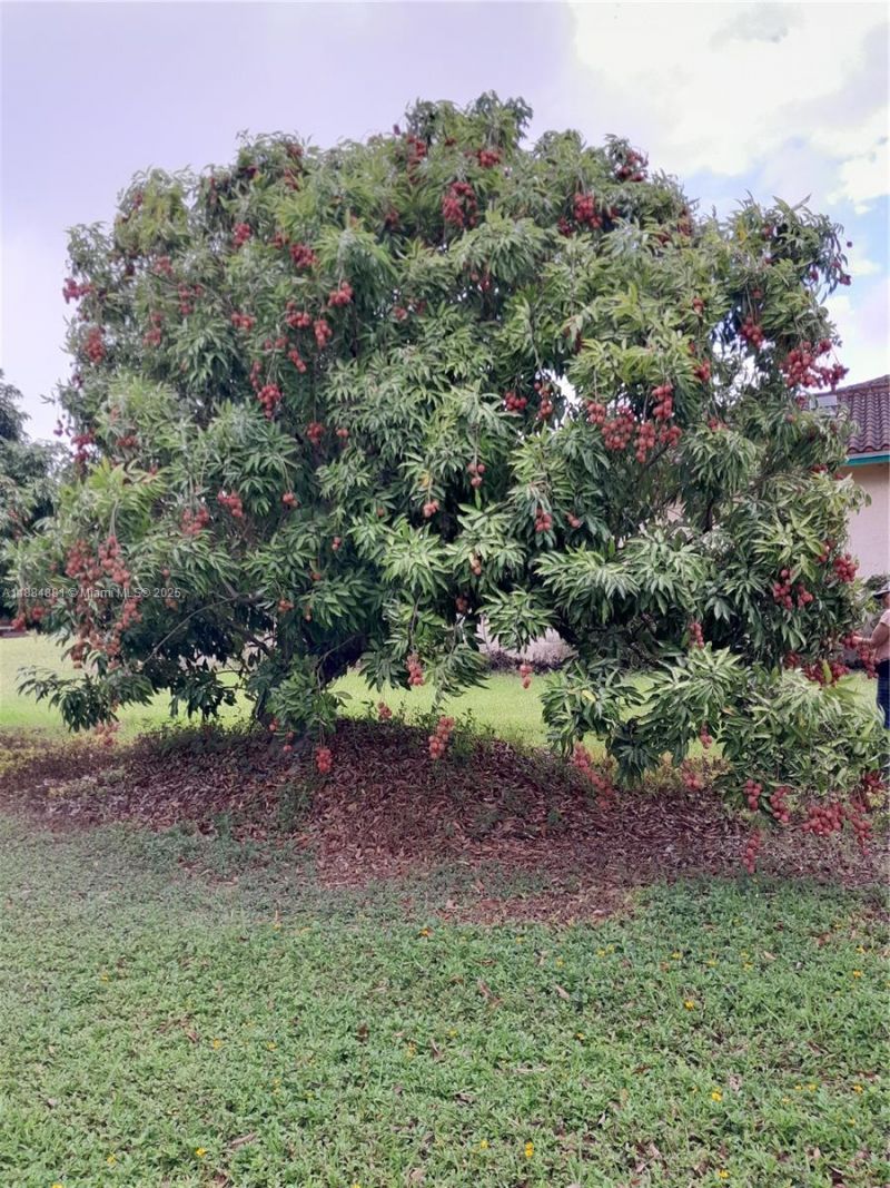 22220 SW 248th St, Homestead, FL 33031 Photo