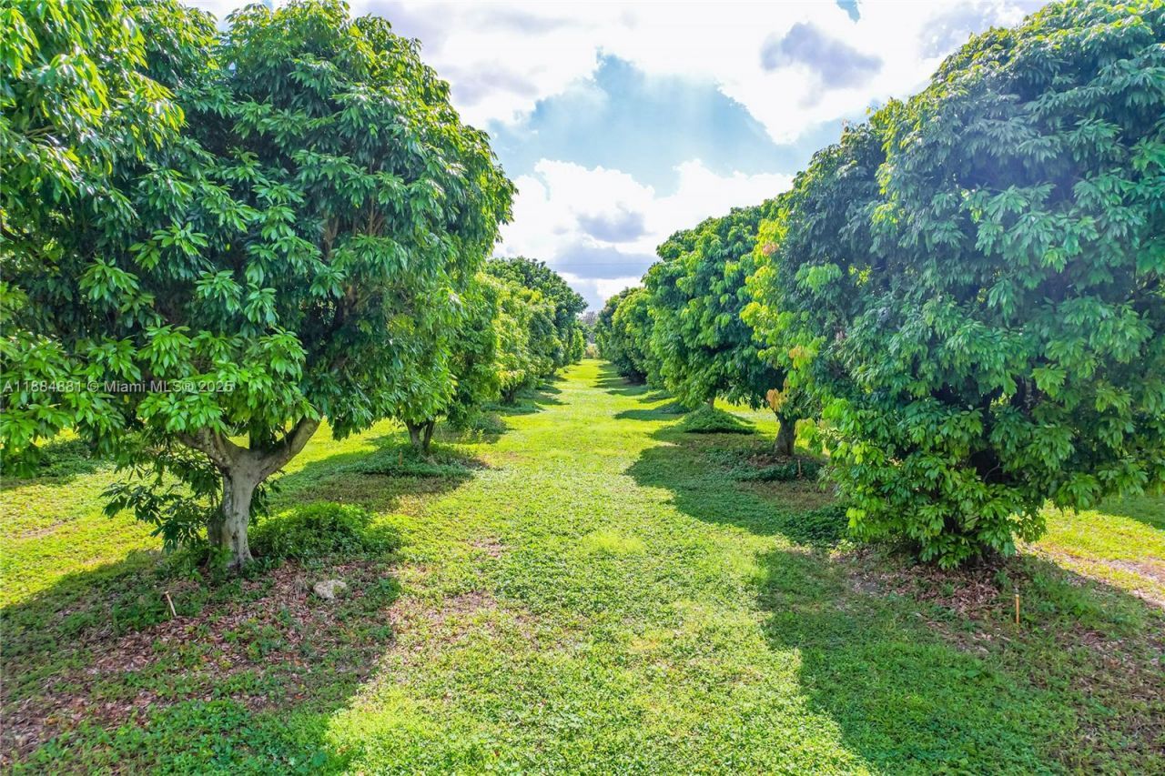 22220 SW 248th St, Homestead, FL 33031 Photo