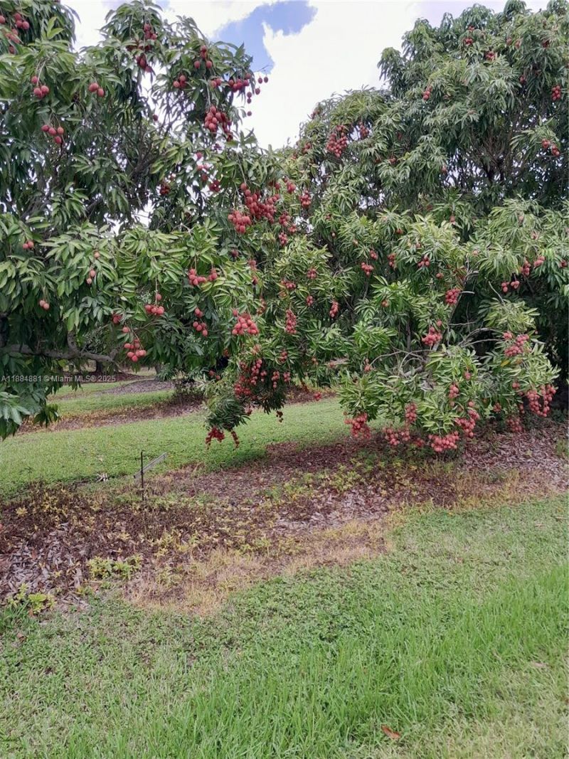 22220 SW 248th St, Homestead, FL 33031 Photo