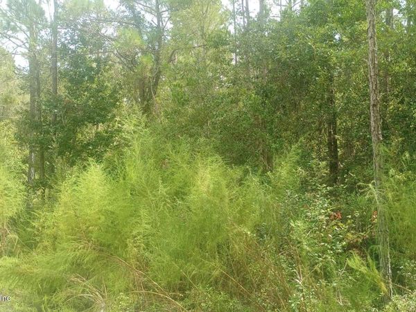 0 KIRCHHERR Avenue, Hastings, FL 32145