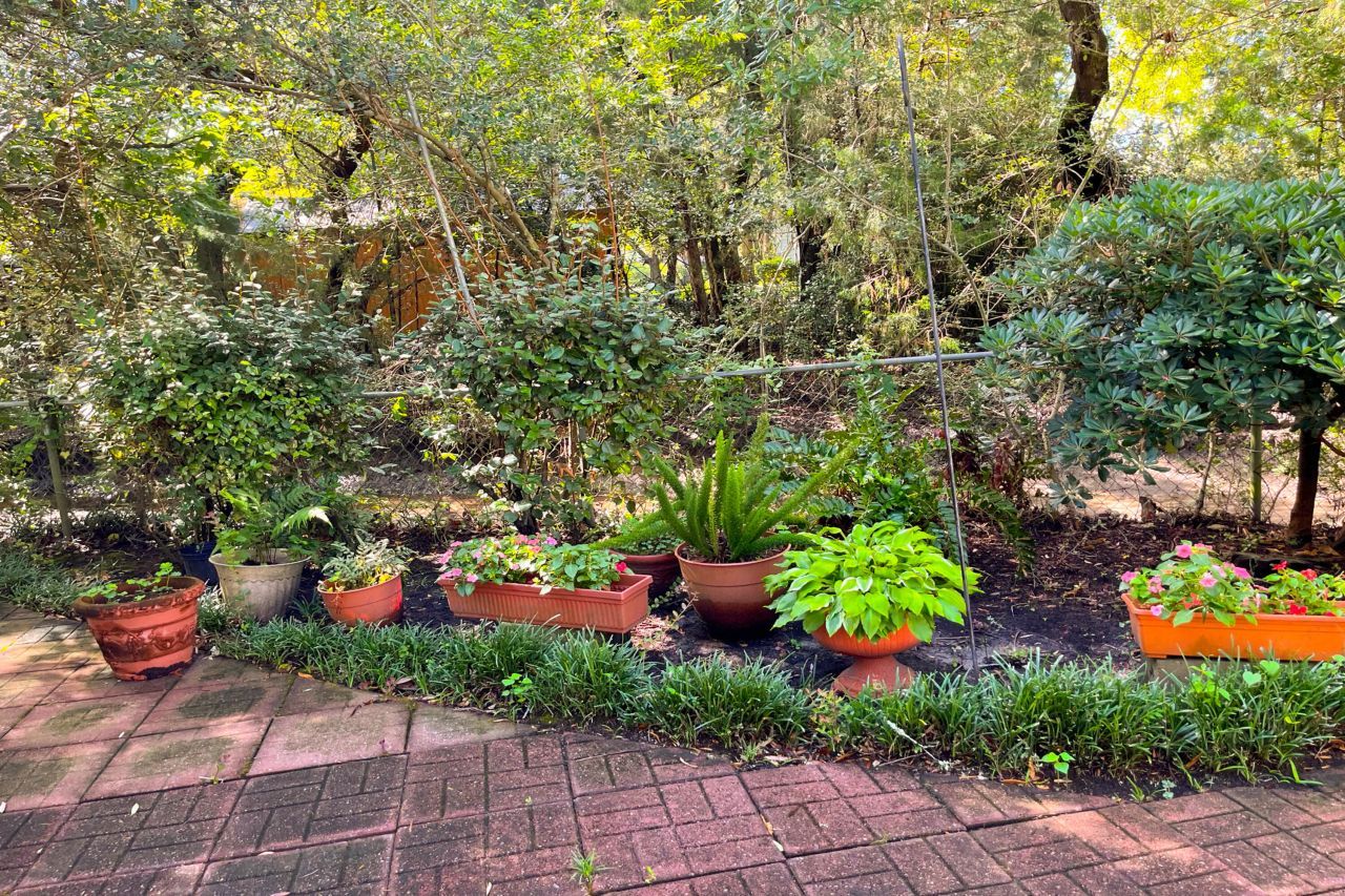 344 Lantana Drive Photo 23