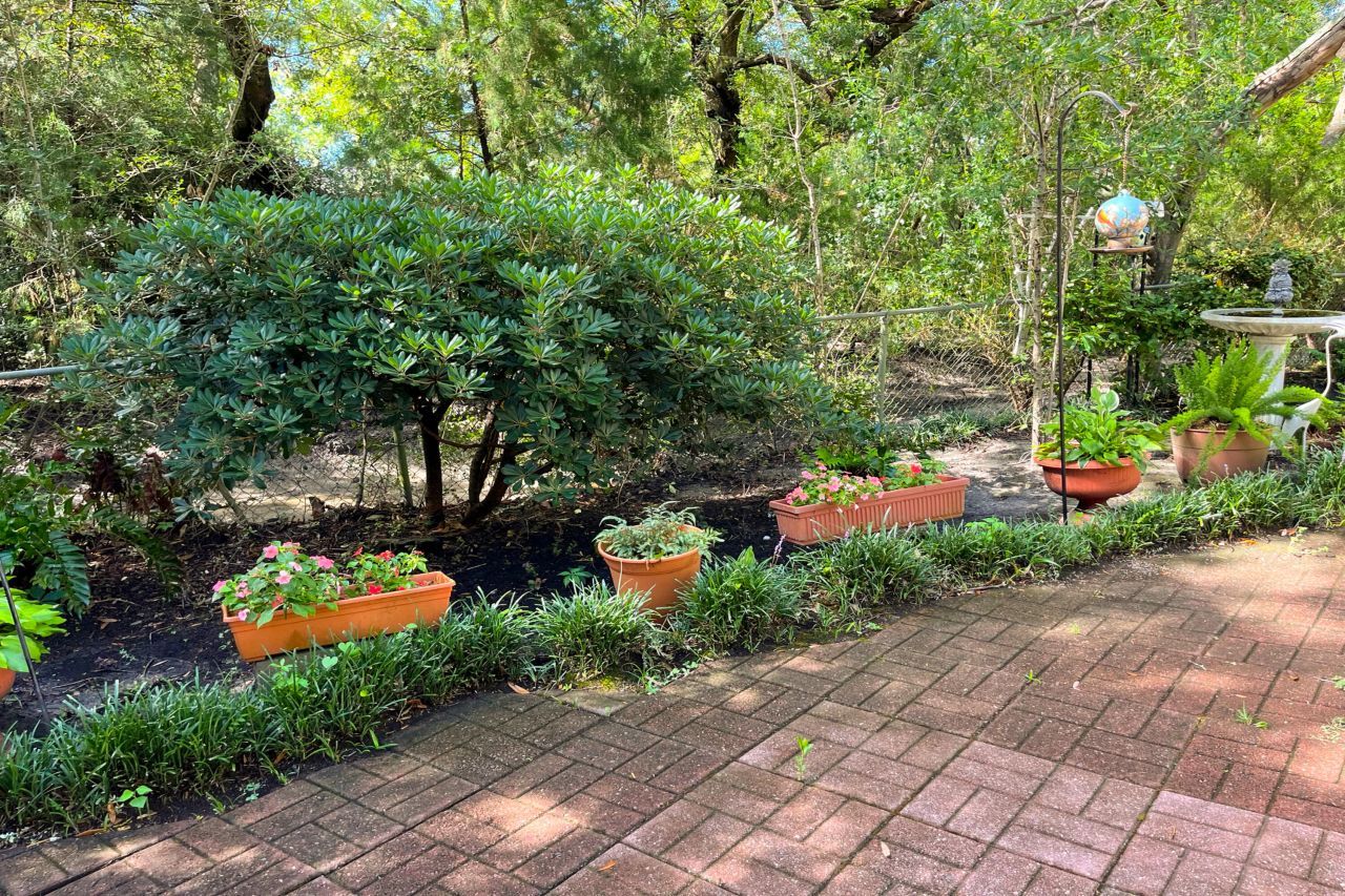 344 Lantana Drive Photo 24